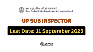 Read more about the article UP Police SI Recruitment 2025 – Apply Online for 4543 Sub Inspector Vacancies